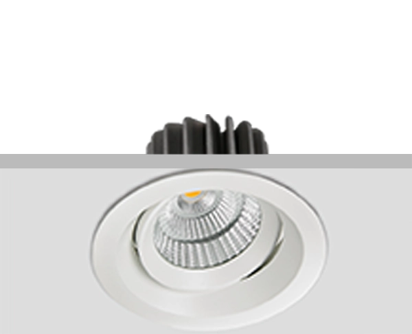 שקוע תקרה טום עגול 30W לבן חם גוף לבן