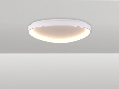 צמוד תקרה פיניקס 48W - לבן חם - לבן - ק.65