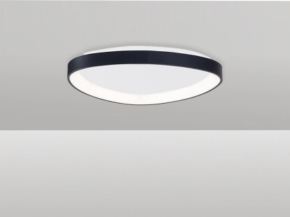 צמוד תקרה פיניקס 48W - לבן חם - שחור - ק.65