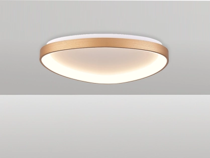 צמוד תקרה פיניקס 60W